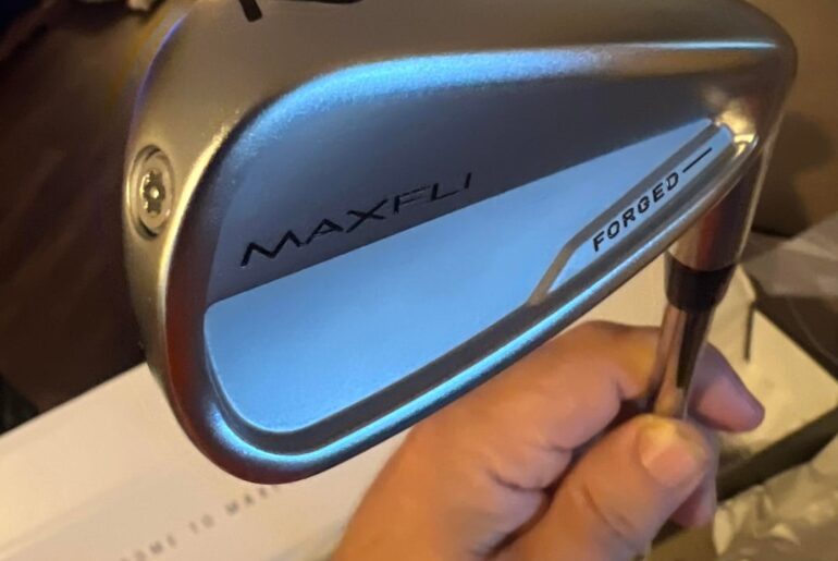 I quit my job so I bought new irons.