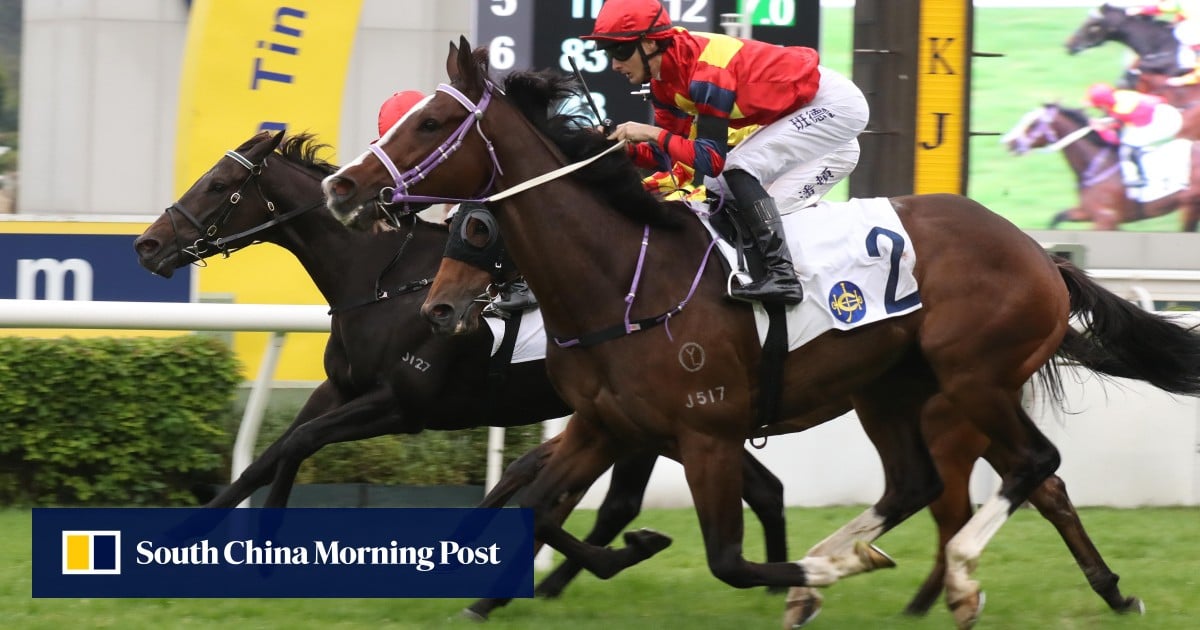 Group One tilt on the cards as Hong Lok Golf gets back on track in style at Sha Tin | HK Racing Group One tilt on the cards as Hong Lok Golf gets back on track in style at Sha Tin | HK Racing