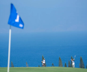 Download app from the App Store