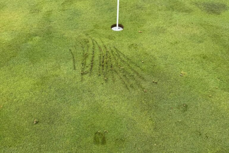 Question for superintendents and golf pros