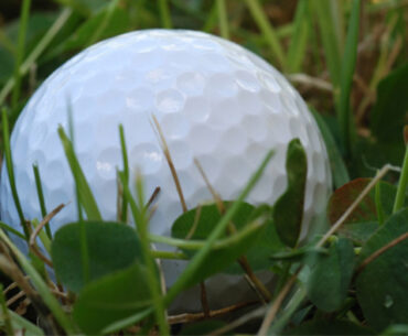 Canterbury Strokeplay Championship sees an exciting return to form