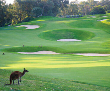 Australia's Best - And Most Beautiful