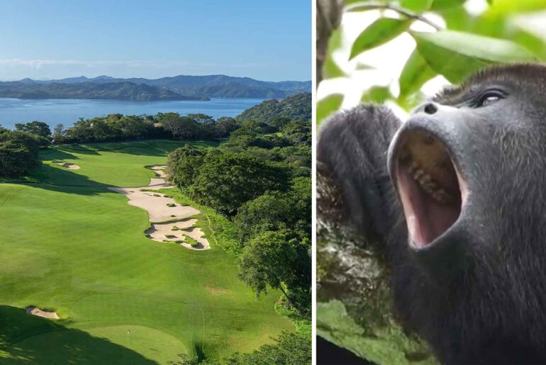 In Costa Rica, golfers encounter the wildest sights (and sounds!)