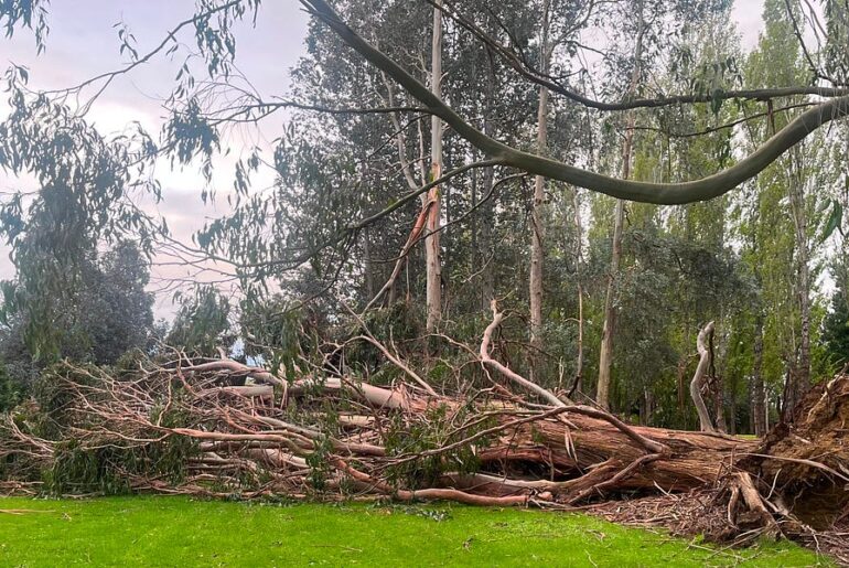 Golf club takes financial hit with course closure