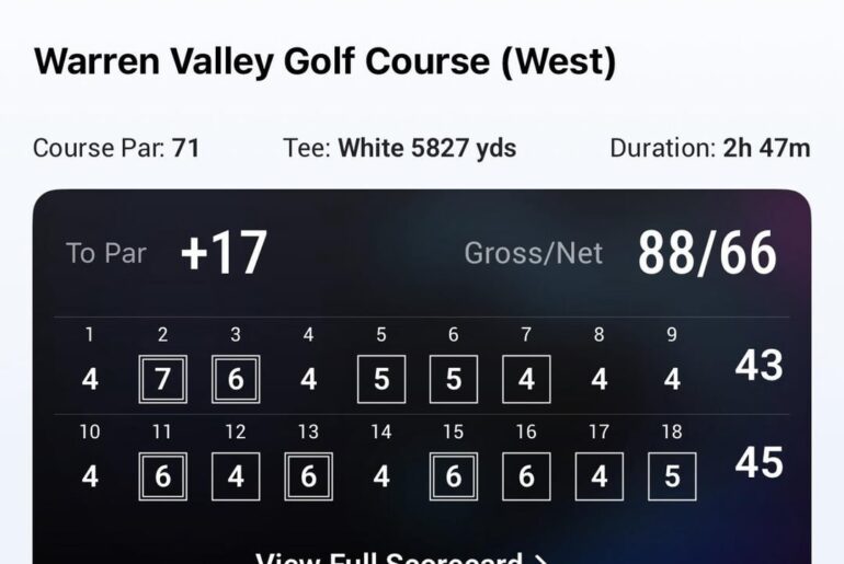 Broke 90 for the first time and found a club head