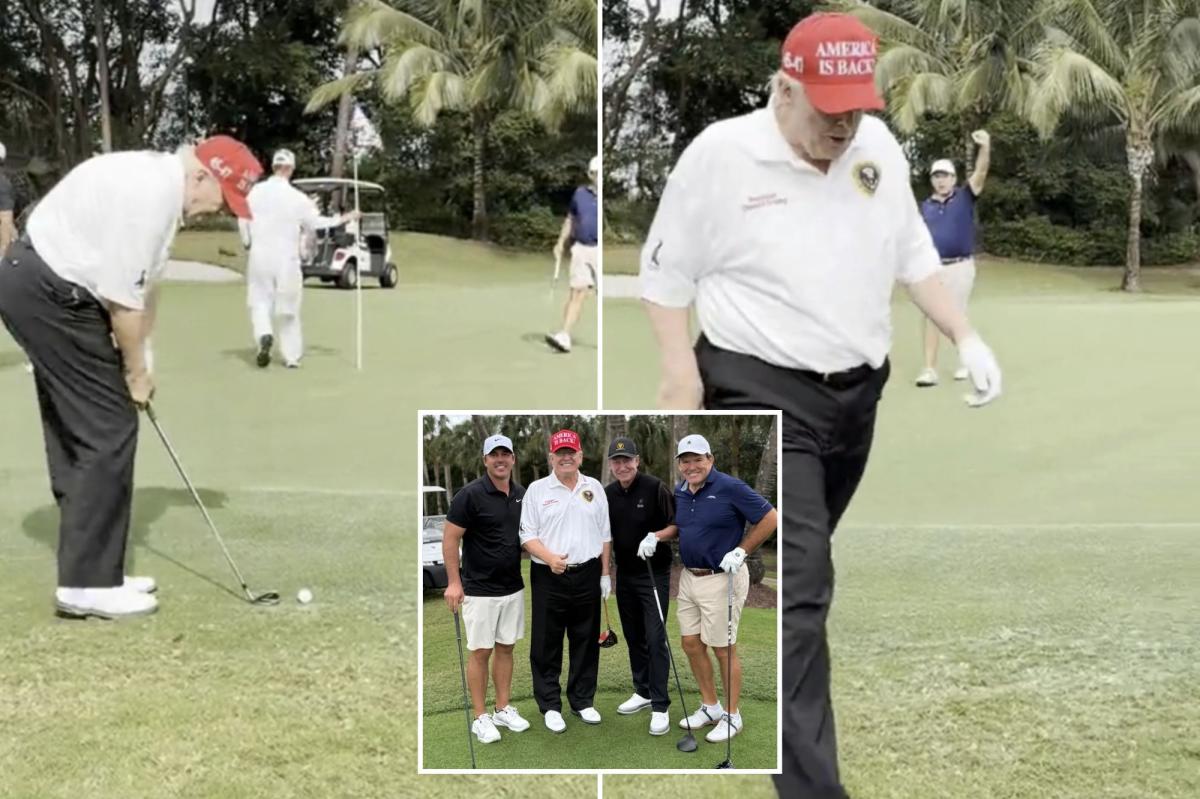 Trump sinks impressive chip shot in viral video after latest Biden golf jab: ‘Winning is always nice!’ Trump sinks impressive chip shot in viral video after latest Biden golf jab: ‘Winning is always nice!’