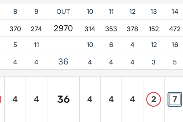 Not a Hole in One, But I Birdied Every Par 3 Yesterday!