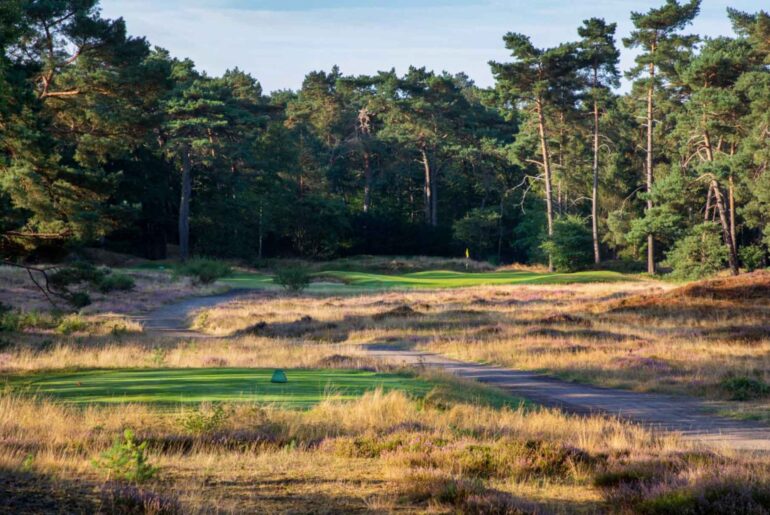 How this Netherlands gem cracked our World Top 100 ranking