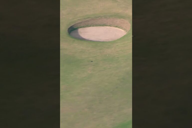 Tiger Woods' Stinger 😍 #shorts