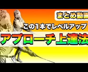 【総集編】アプローチが楽しくなる！得意になる！グリーン周りで大きなミスをしないアプローチ特集！