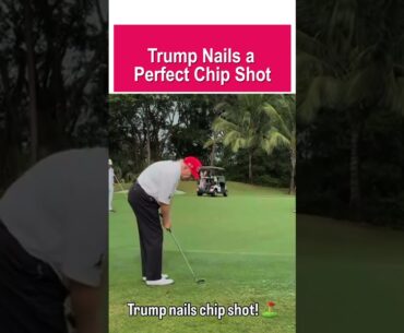 Trump Shows Off His Skills with a Stunning Chip Shot 😎💥⛳️