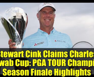 Stewart Cink Claims Charles Schwab Cup: PGA TOUR Champions Season Finale Highlights