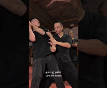 Wing Chun Classroom Throw Technique Revealed with @WingchunTuTengyao