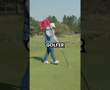 Peter Finch fixes your chipping!
