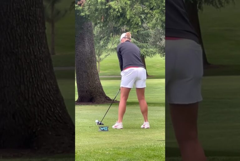 #golfswing #fyp #followthrough #waitforit #golfergolfing