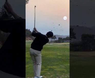 165m 7번 볼줄기 죽이는 컷샷 🔥 | KPGA 박문규(Mungyu Park) #골프레슨_마곡 엠골프스튜디오