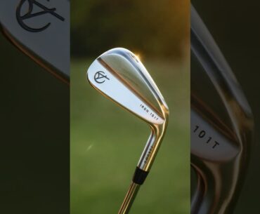 Are these Irons for YOU?
