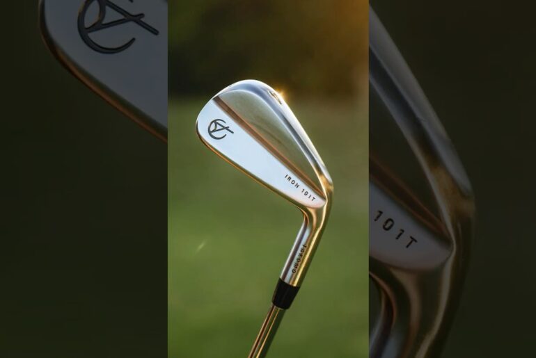 Are these Irons for YOU?