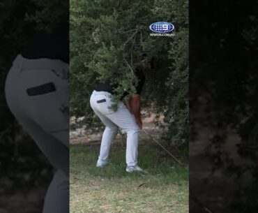 An AIR SWING from Rory McIlroy! 😱🏌️#AusOpenGolf #Golf