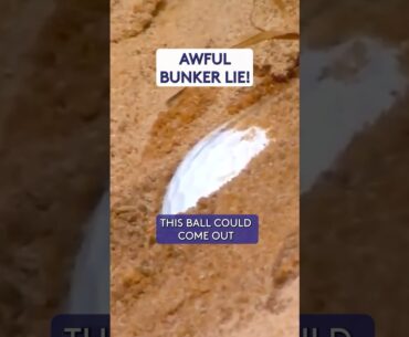 How BAD is this? 😡