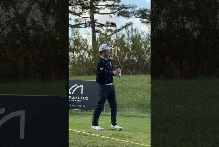 Rodrigo KH LEE 프로 | 프로들의 스윙은 왜 이렇게 부드러울까? #golf #golfswing #koreagolf #골프스타 #골프스윙