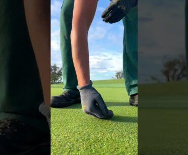 Cutting the Perfect Cup ⛳️ (Sound On 🎧)