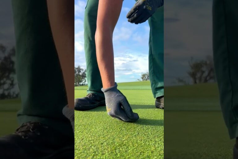 Cutting the Perfect Cup ⛳️ (Sound On 🎧)