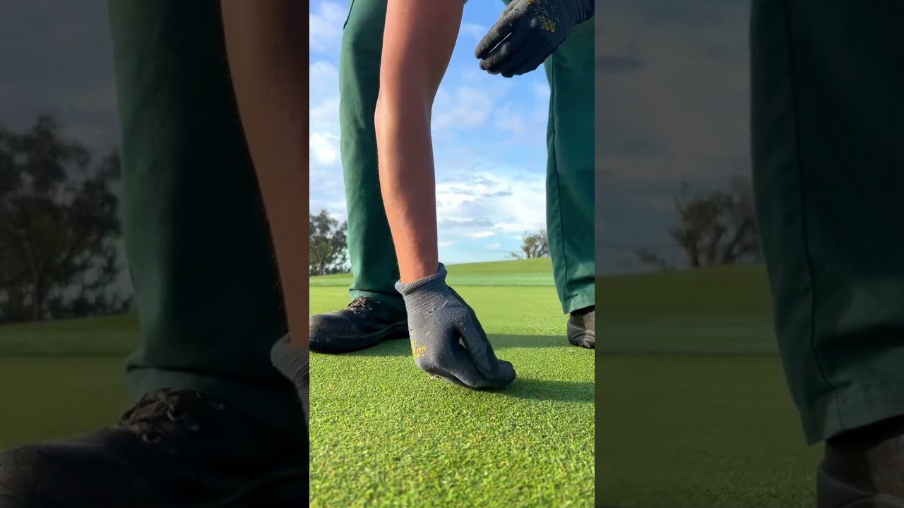 Cutting the Perfect Cup ⛳️ (Sound On 🎧) Cutting the Perfect Cup ⛳️ (Sound On 🎧)