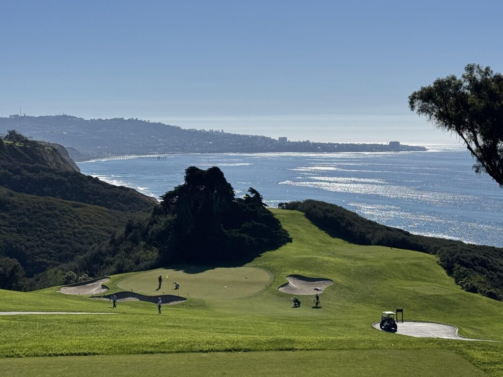 Torrey North Shimmering Today