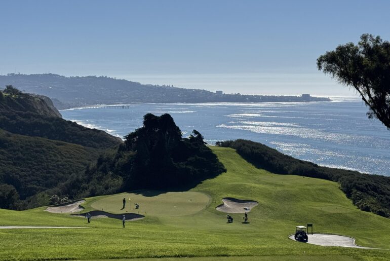 Torrey North Shimmering Today