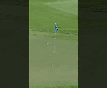 Wait… did I see that right? 🤨