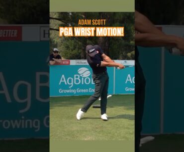 Create PGA Wrist Motion! #shorts #golf #golfer #golfswing #ericcogorno #pga
