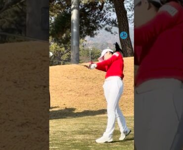 LPGA루키의 마지막 국내 드라이버샷 ❤️🤍 [7s] #황유민