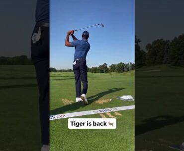 Tiger on the range 🐅⛳🔥⁣  ⁣  Follow @vipgolf for more!⁣  ⁣  Thanks tgrliveevents⁣  ⁣  #golf #go...