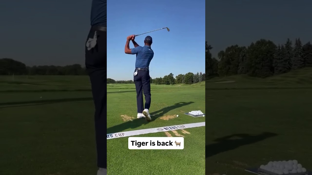Tiger on the range š
ā³š„⣠⣠Follow @vipgolf for more!⣠⣠Thanks tgrliveevents⣠⣠#golf #go… Tiger on the range š
ā³š„⣠⣠Follow @vipgolf for more!⣠⣠Thanks tgrliveevents⣠⣠#golf #go...