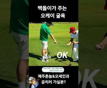 백돌이 퍼포먼스 ㅡ 싱글한테 오케이주기 #golf #골프 #오세인