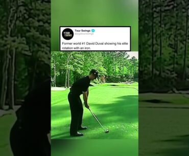 DAVID DUVAL HAD SUCH A GREAT MOVE