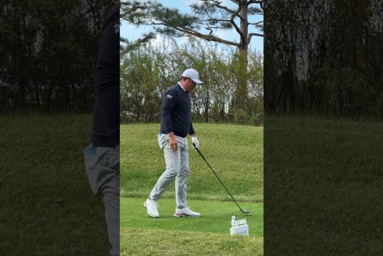 Wonjoon LEE 프로 | 프로들의 스윙은 왜 이렇게 부드러울까? #golf #golfswing #koreagolf #골프스타 #골프스윙