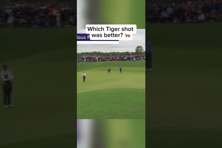 Which Tiger shot was the best? #golf #tigerwoods #shorts