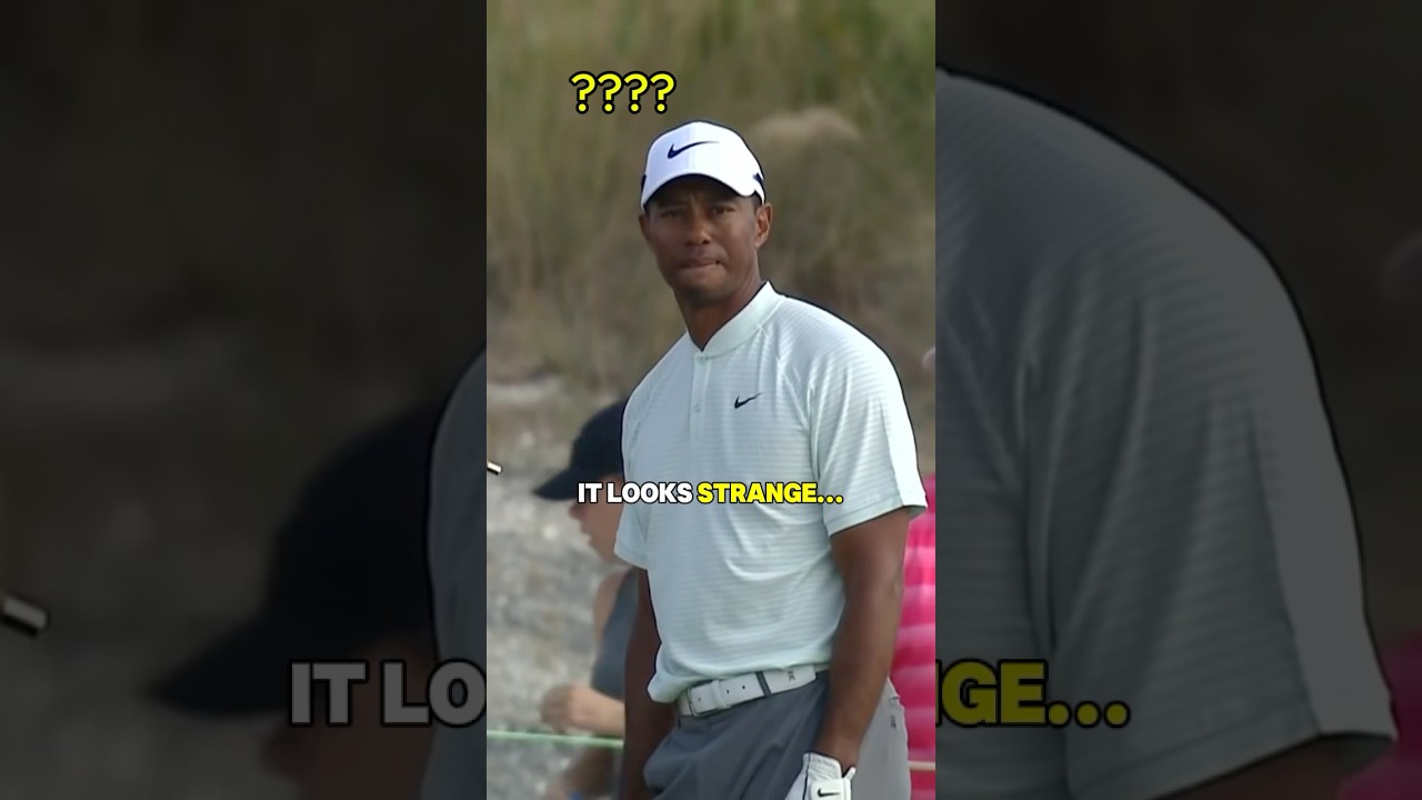 Did Tiger Really Hit It Twice?😱 Did Tiger Really Hit It Twice?😱