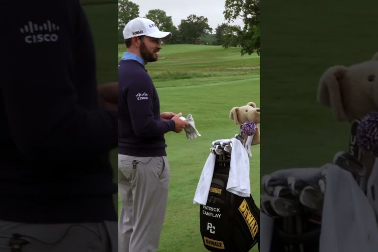 Patrick Cantlay is tired of my terrible jokes...😅 #golf #golfer #comedy