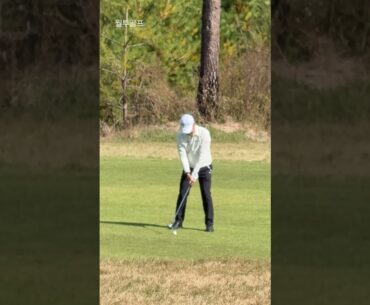 최민철 프로의 어프로치 #골프스타 #golfswing #koreagolf #골프