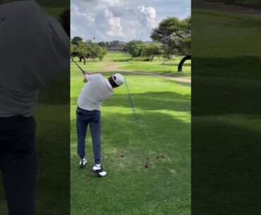 Hate it when you run out of tees actually split the fairway with this one  #golf #golftrickshot #gol