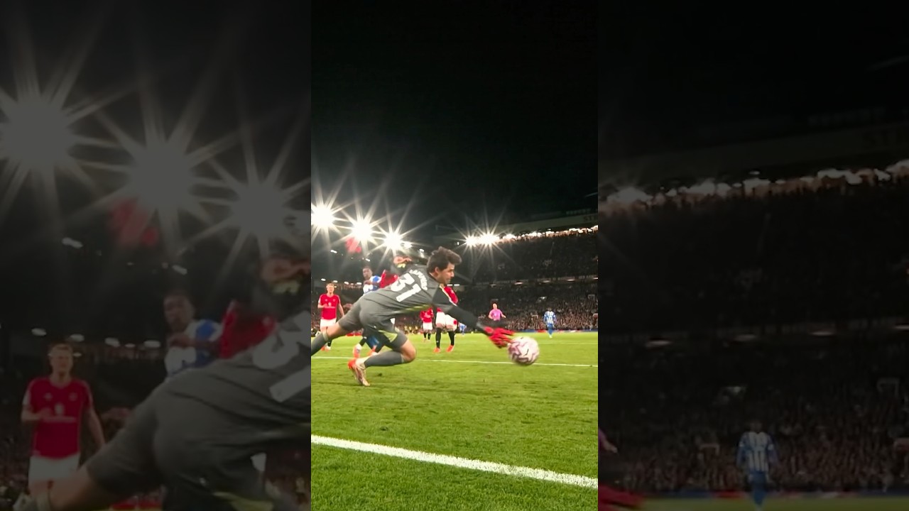 Some Senne Saves! 😎🧤 Some Senne Saves! 😎🧤