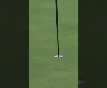 Pat Perez's Crazy Hole Out! 🤯