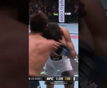 Payton Talbott and Henry Cejudo were throwing inside the Octagon! 🥵 #UFC323 #UFC #UFCIndia