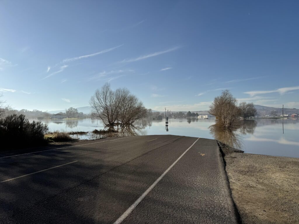 Finally got an annual membership, couldn’t have been worse timing!