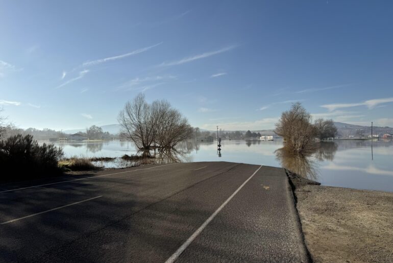 Finally got an annual membership, couldn’t have been worse timing!