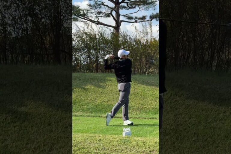 박정환 김영수 Junseok LEE 프로 | 이 파워… 아마추어는 못 따라간다 #골프스타 #koreagolf #golfswing #golf #골프