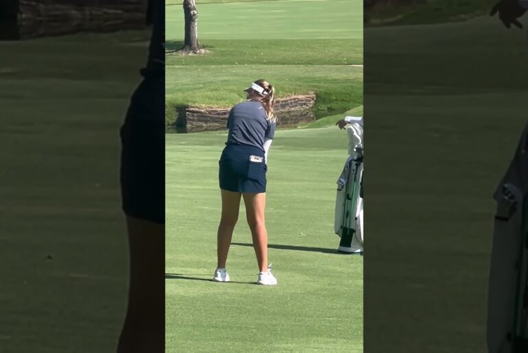 #golfswing #fyp #followthrough #waitforit #golfergolfing